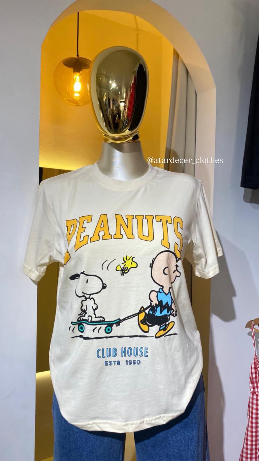 Playera Peanuts Snoopy & Charlie Brown